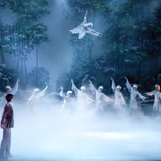 Swan Lake On Ice (2010)The Imperial Ice Stars